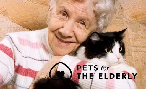 woman holding cat smiling at camera
