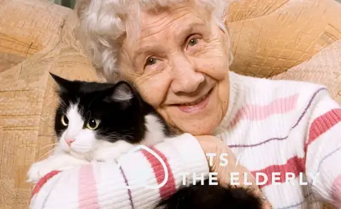 image of woman hugging cat