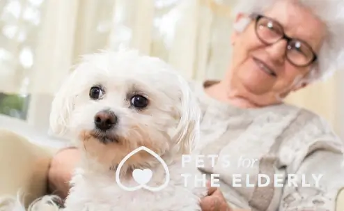 woman smiling with dog