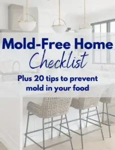 The Mold-Free Home Checklist cover