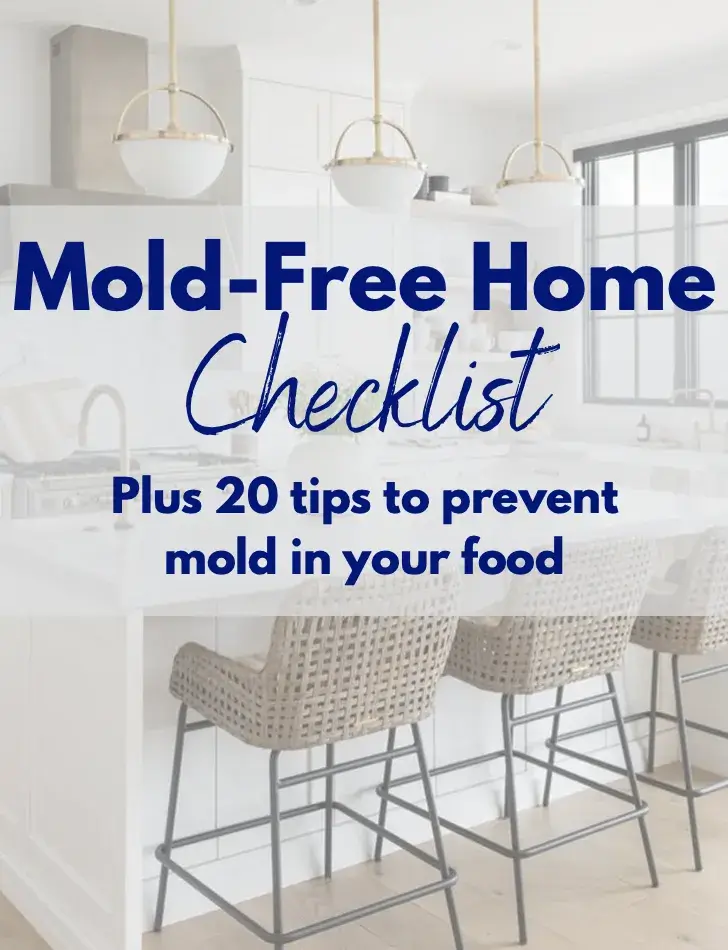 The Mold-Free Home Checklist cover